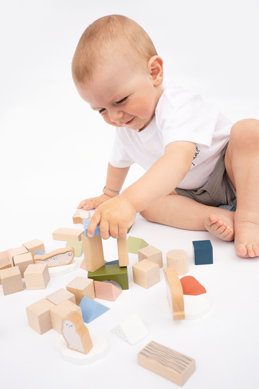 Blocs de construction en bois « Arctic »