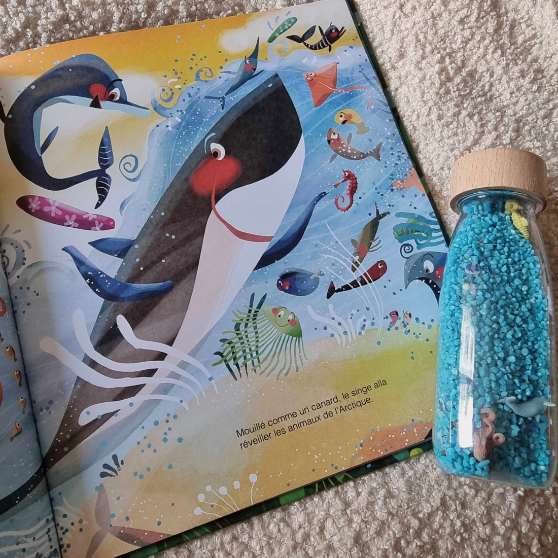 Le livre Petit Boum