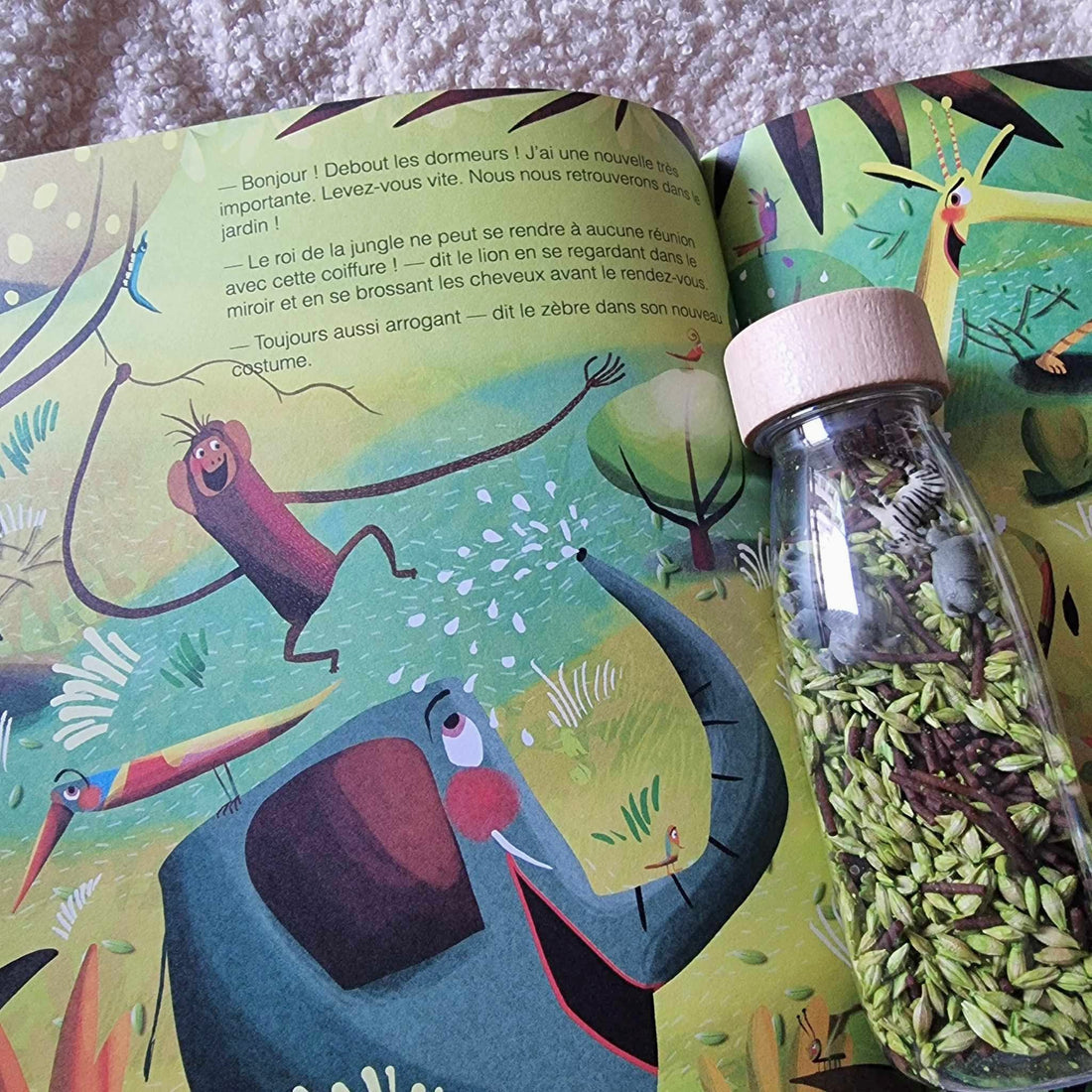 Le livre Petit Boum
