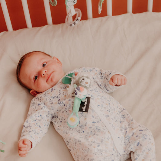 Attache tétine Chillos le paresseux