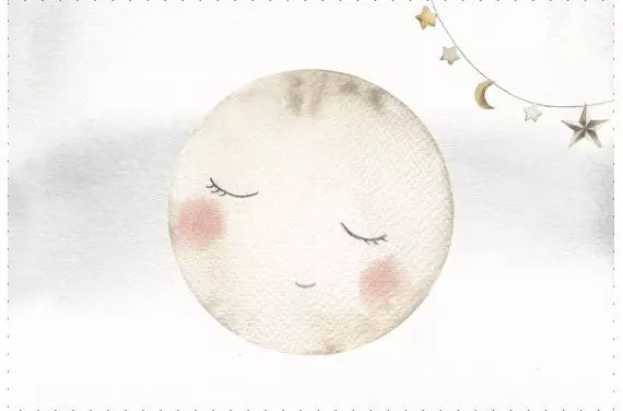 Coussin 50 *50 cirque